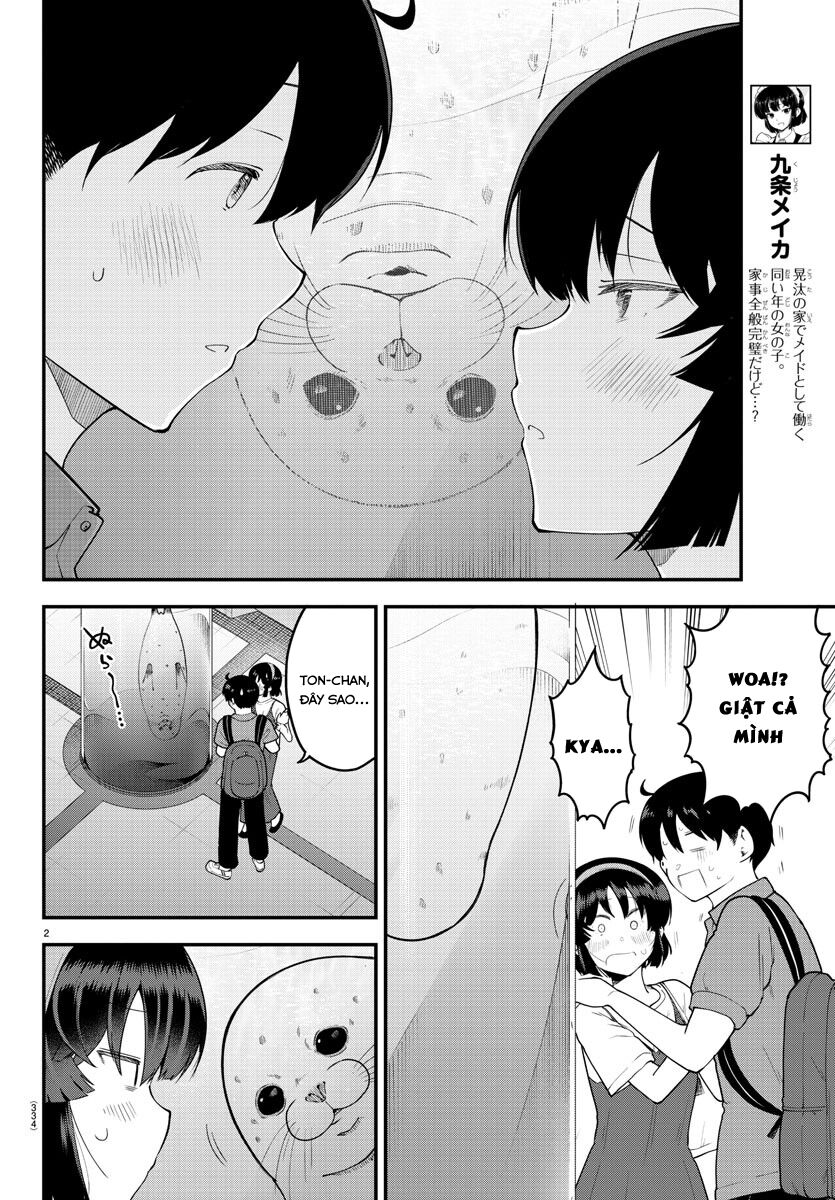 Meika-San Can