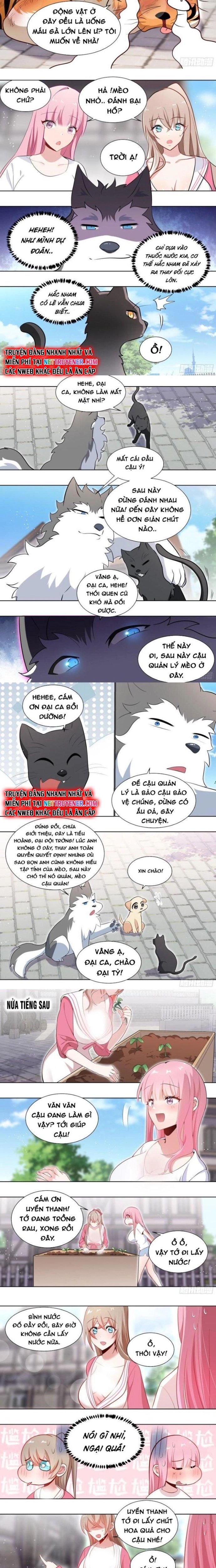 Trọng Sinh Thành Chó Của Nữ Thần - Trang 1