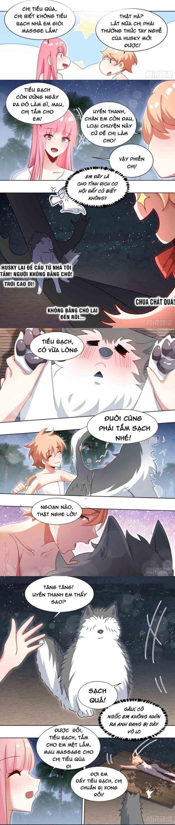 Trọng Sinh Thành Chó Của Nữ Thần - Trang 3