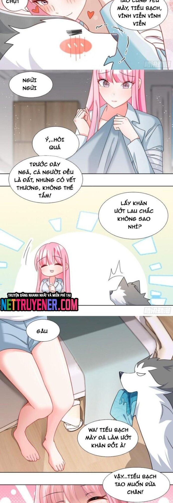 Trọng Sinh Thành Chó Của Nữ Thần - Trang 3