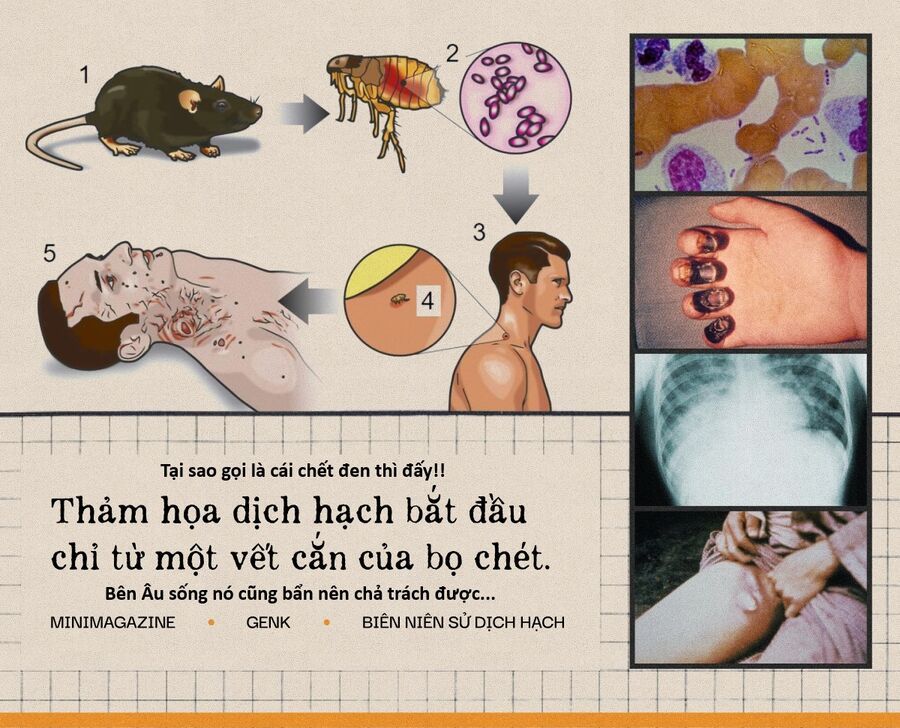 Hổ Đến Chơi Nhà - Trang 17