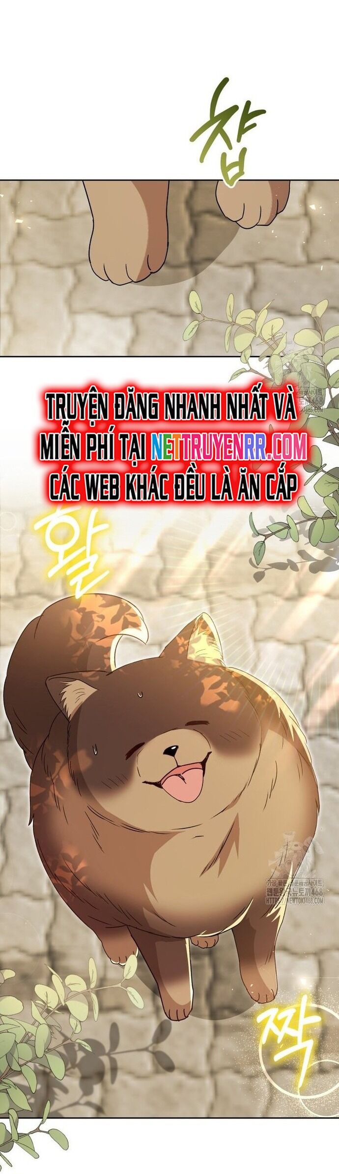 Xin Chào! Bác Sĩ Thú Y - Trang 28