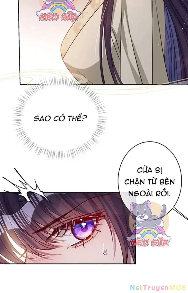 Nuông Chiều Mỹ Nhân Cuồng Nhiệt - Trang 6