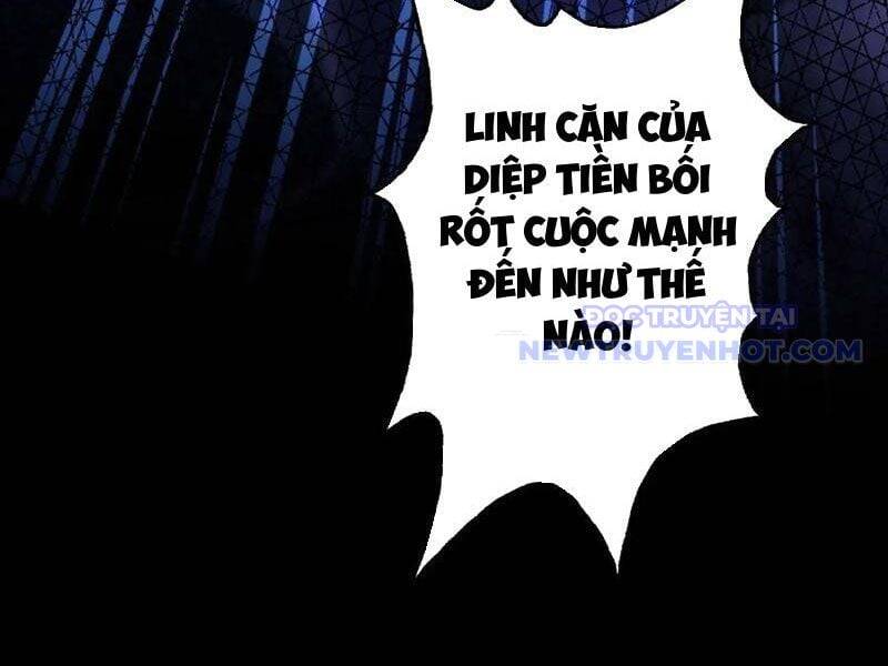 Hoá Ra Ta Đã Vô Địch Từ Lâu - Trang 14