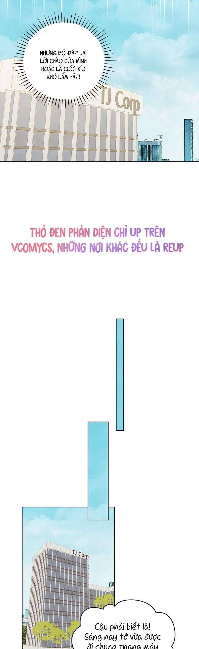 Hôn Nhân Bí Mật Giữa Chúng Ta - Trang 28