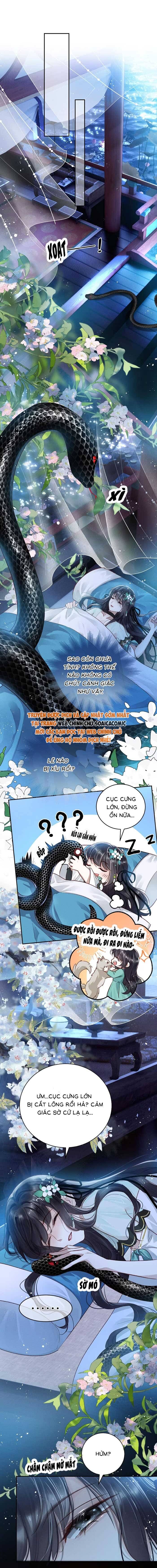 Nguyện Dâng Thân Cá Mặn Này Cho Sư Tổ - Trang 3