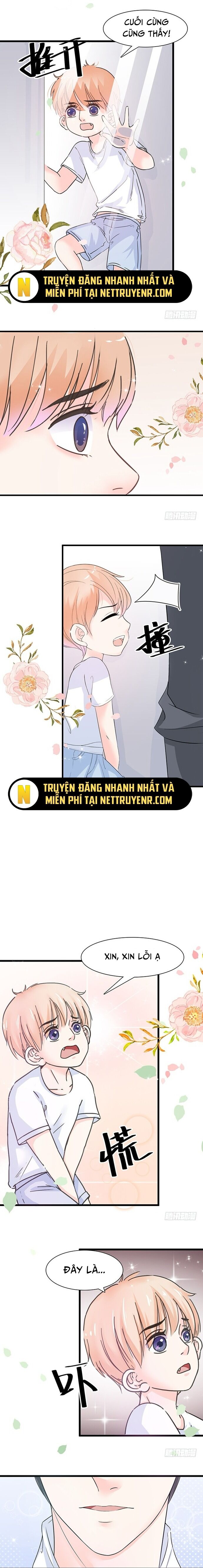 Chu Tiên Sinh, Ép Cưới Phạm Pháp Đó - Trang 4